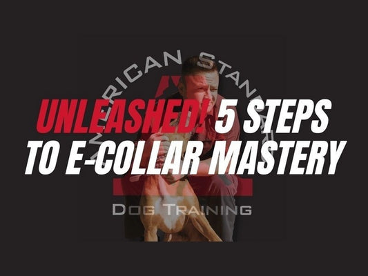 Transform Your Dog's Behavior with the "Unleashed!" Course at DIYK9.com: A Comprehensive Review