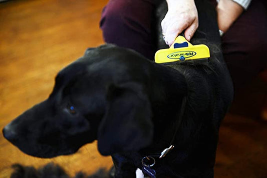 Furminator Undercoat Deshedding Tool: The Ultimate Grooming Solution for Large Breed Dogs