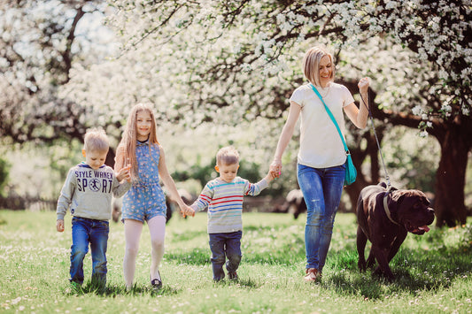 Socialize Your Guardian Breed Like a Pro: Tips, Tricks, and Pet-Friendly Places